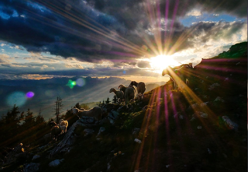 Zechariah Chapter 10